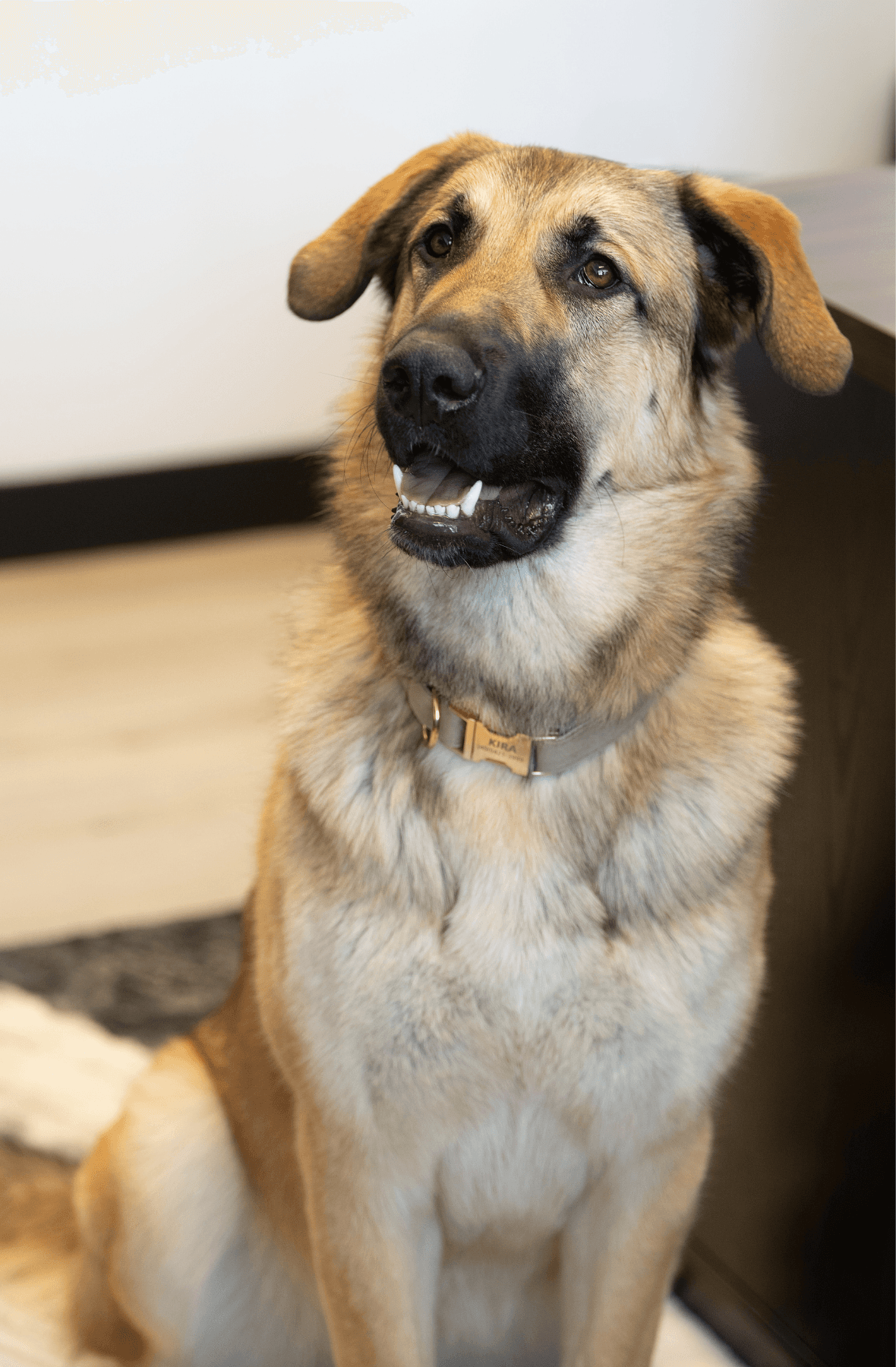 Photo de Kira